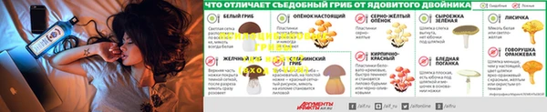 МДМА Киреевск
