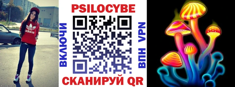 Купить где  Курлово  Псилоцибиновые грибы Cubensis 