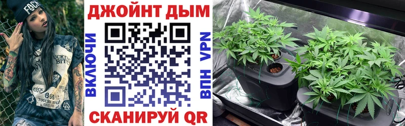 Шишки марихуана гибрид Курлово